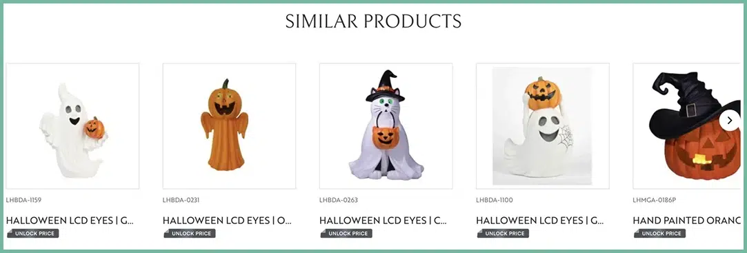 Product recommendations showing related items for cross-selling
