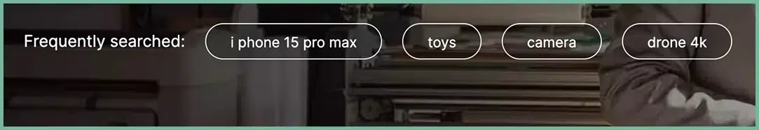 Quick access buttons for popular product searches
